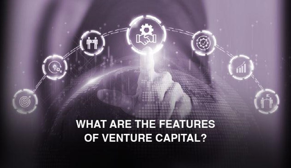 Features of venture capital